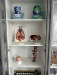 IMG-20260603-WA0081