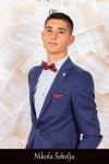 Nikola-Šekelja